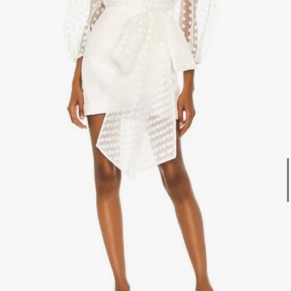 Lovers & Friends Alize Mini Dress - Picture 2 of 2